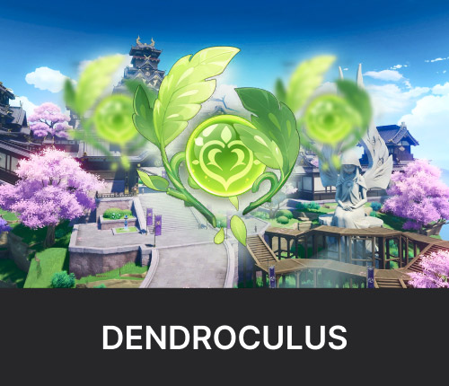 All Dendroculus Collecting